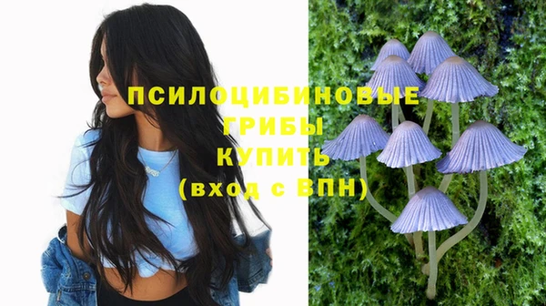 амф Зеленодольск