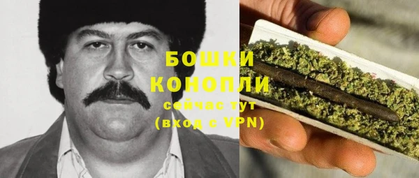 прущие грибы Абаза