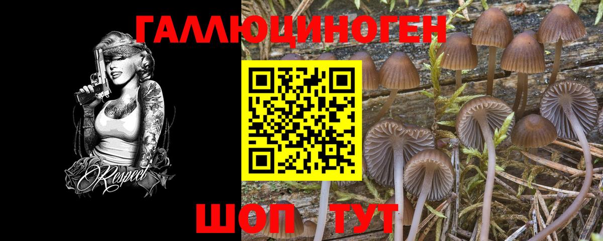 Галлюциногенные грибы мухоморы Сорочинск