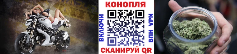 Шишки марихуана сатива  сайты даркнета как зайти  Сорочинск 